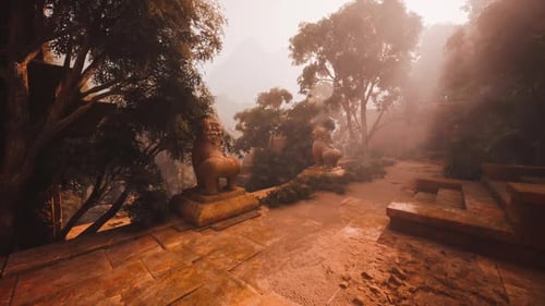Ruines d'anciens temples dans la jungle du Myanmar baignées d'une douce lumière matinale