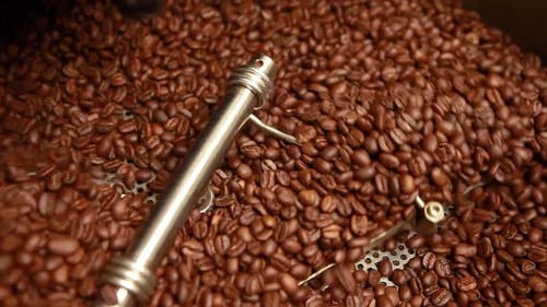 Coffee Beans Being Processed in Food Industry