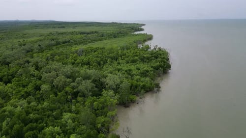 A forest with a body of water in the background. Aerial Sungai Ayam, Batu Pahat