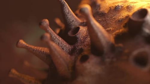 Abstract Microscopic Organism Rotating Animation