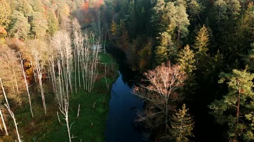 View of a river flowing amidst the trees of a colorful autumn forest