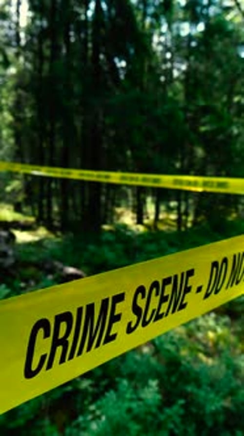 Yellow Crime Scene tape in front of a creepy sunny and blurred bokeh background forest, forensics.