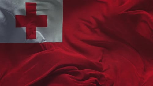 Realistic Waving Flag of Tonga Seamless Loop
