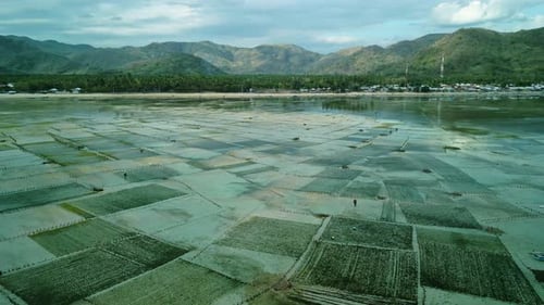 Entorno de cultivo oceánico, recolección de alimentos de aguamarina, costa tropical