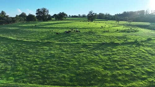 Sunset Skyline at Rural Landscape in Countryside Brazil.
