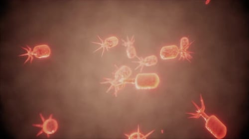 Virus Cells or Bacterias Under Microscope