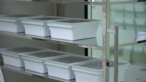 Pharmaceutical Manufacturing Technician Working in Laboratory Production Equipment at Pharmacy