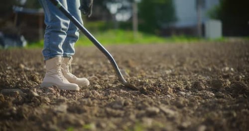 Person Using Shovel Digging in Farm Soil