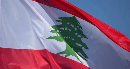 Waving Flag with Green Tree on Fabric