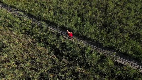 Woman in Red Dress Walks on Wooden Path