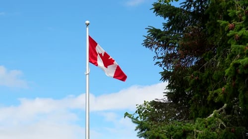 Canadian flag waving in the wind in tofino, british columbia