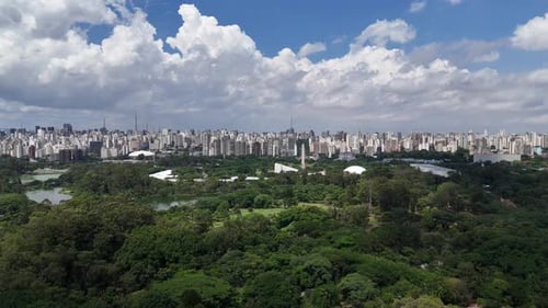 Vídeo aéreo acima do Parque Ibirapuera São Paulo em um dia ensolarado