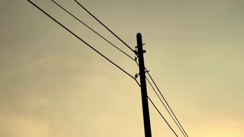 Electrical line grid during sunset