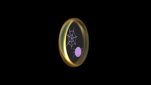 Cute Cartoon Spider Web Halloween Rotating Coin Animation