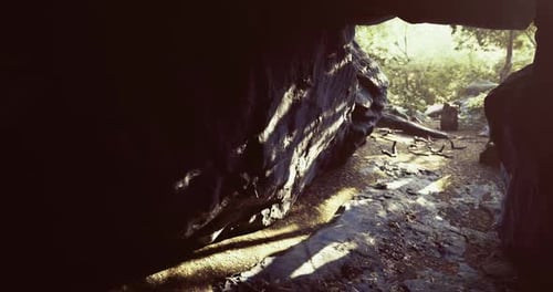 Exploring a Hidden Cave Entrance Surrounded By Nature in Daylight