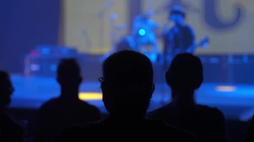 Crowd Silhouette Watching Band Performing On Stage