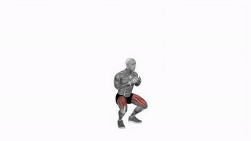 Human Anatomy Squat Exercise Animation with Muscle Highlights