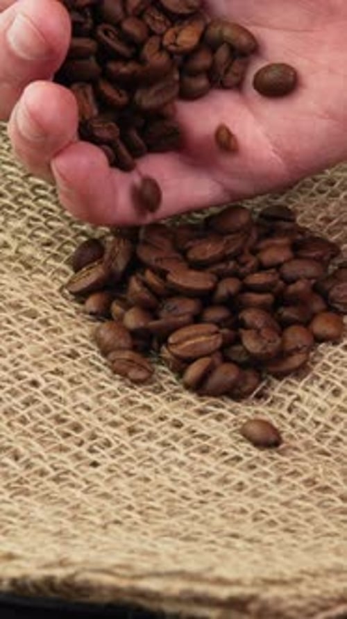 Pouring Roasted Coffee Beans on Burlap