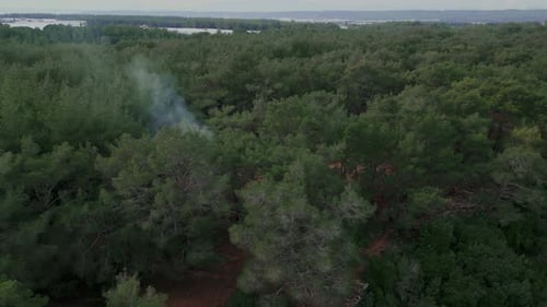 The Camera Flies Around a Place in the Forest From Which Smoke Rises