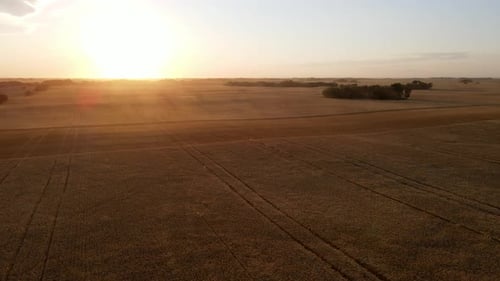 Aerial view moving and panning over a beautiful countryside sunset over golden wheat fields in Alber