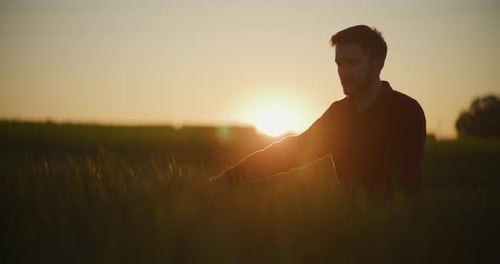 Man in Wheat Field at Golden Sunset