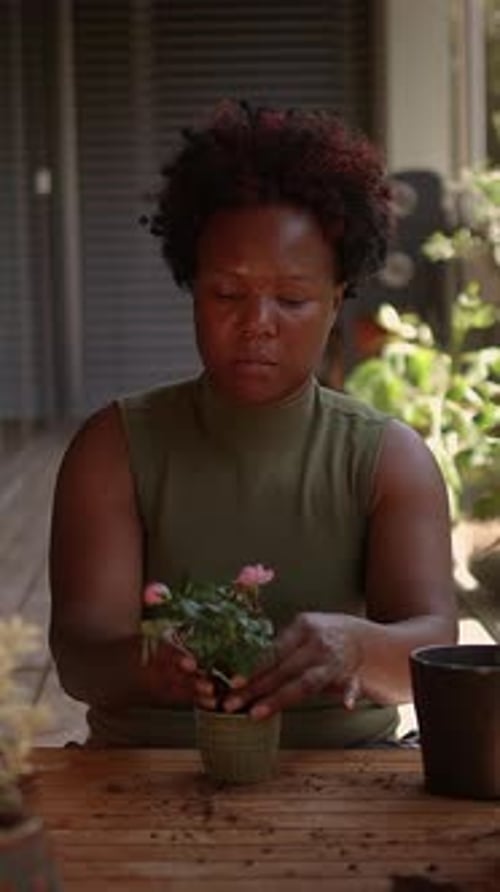 Woman tending pink flower plant in a pot