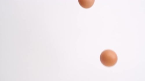 Brown eggs falling in slow motion on white studio backdrop in 4k