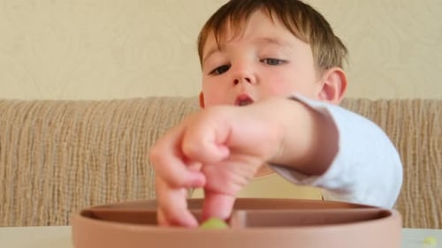 Child Eating Grapes at Table Indoors