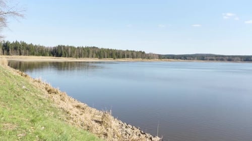 A Vast Lake in a Rural Area on a Sunny Day a Thick Forest in the Background