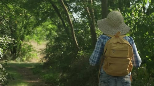 Woman in Hat with Yellow Backpack Walks in Summer Forest Female Hiker
