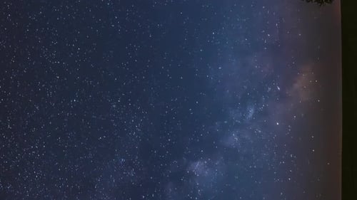 Vertical Footage Milky Way Galaxy In Night Starry Sky Above Lonely Tree In Summer Meadow