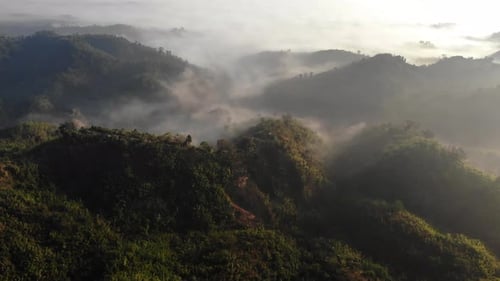 Aerial view of hills and fog, Bangladesh.