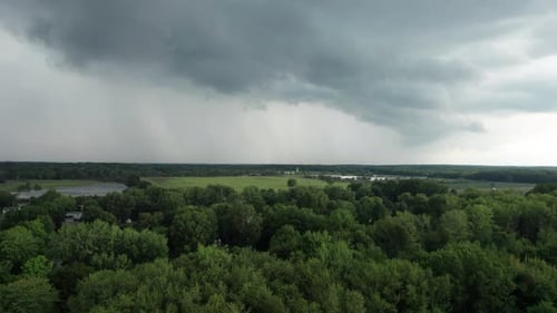 Drone capture the dense tree covered forest and green landscape with dark gray cloud hovering in the