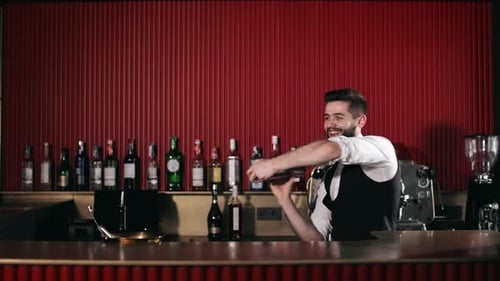 Positive Barkeeper Shaking Hand Shaker Behind Bar Counter