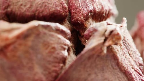 Pine Cone Close Up Macro Forest Wood Nature Background