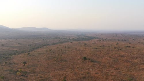 Vast untouched wilderness with subtle elevation and scattered vegetation under a clear blue sky.