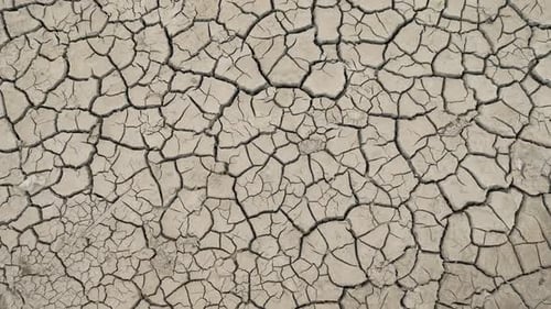 El suelo seco y agrietado se extiende sin cesar, un testimonio de la grave falta de agua