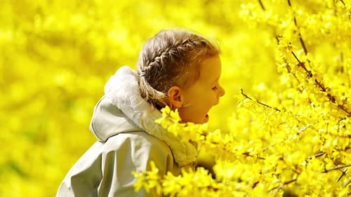 Portrait d'une petite fille en plein air devant Forsythia Bush à Prague Park Europe