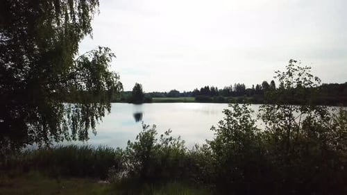 Nature Of Lake Misnitsko 18