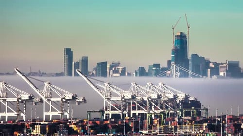 Cranes loading and unloading cargo ships in the San Francisco Bay - time lapse on a foggy morning wi