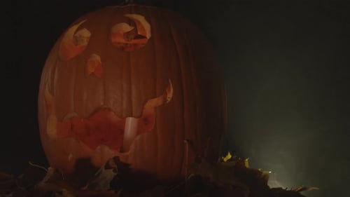 Halloween holiday pumpkin decoration on spooky background
