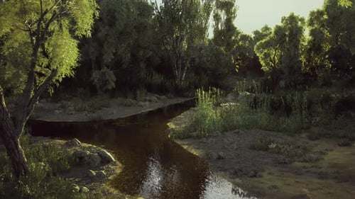 Sundappled Forest Water Reflecting Lush Green Overhead Canopy