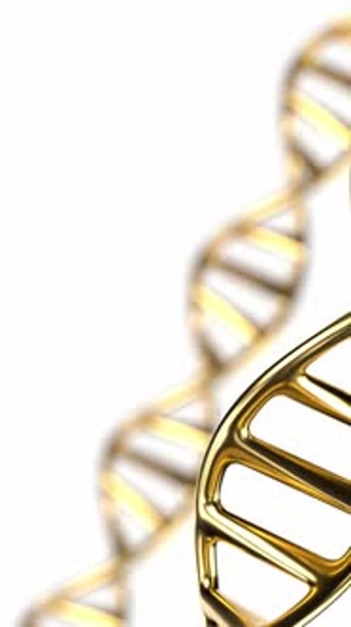 Golden DNA Helix Rotating Vertical Background