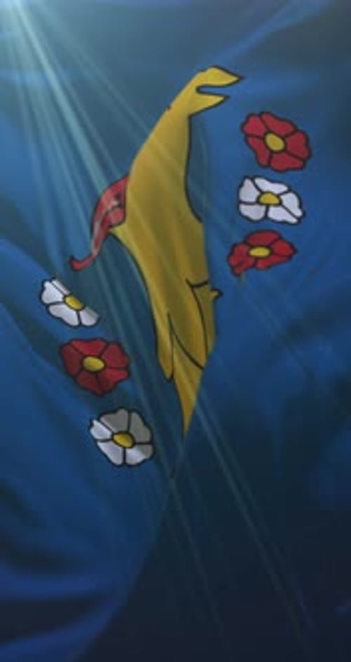 Flag of Pszczyna County