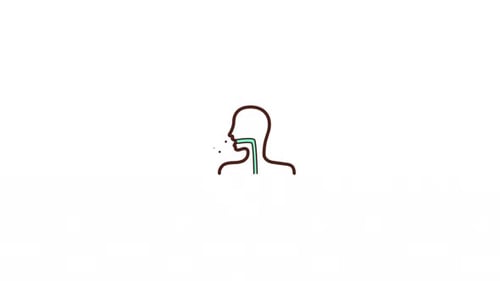 Animated Human Head Medical Diagram of Swallowing and Exhalation