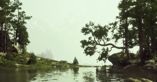 Lush Riverbank Surrounded By Trees in a Serene Natural Landscape
