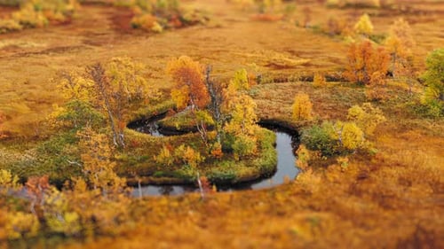 Aerial view of the river winding in the swampy autumn marshland in the Norwegian tundra.