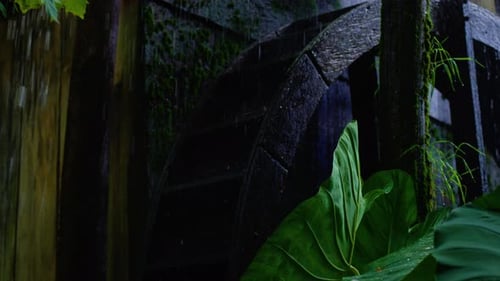 Deep forest greenery with an ancient water mill and a rotating water mill wheel at dawn
