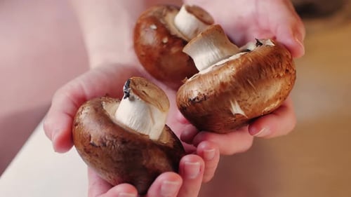 Fresh Champignon Mushrooms Big Portobello Macro Side View Background Chef Man Hold Supermarket Food
