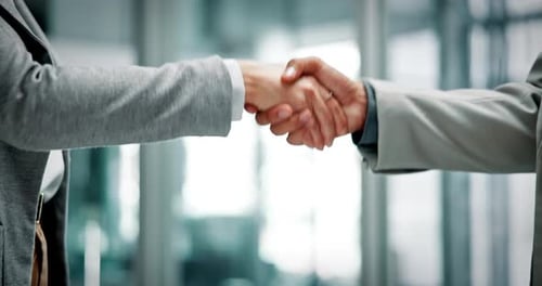 People, meeting and welcome with handshake in office for hiring, introduction and partnership